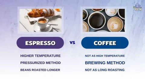 Espresso vs Brewed Coffee