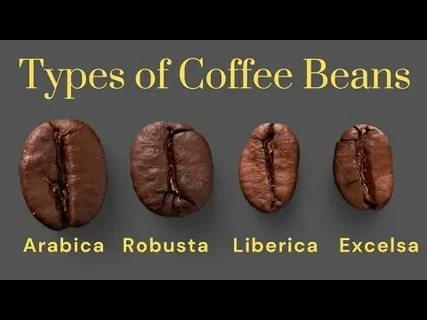 Type of Coffee Beans